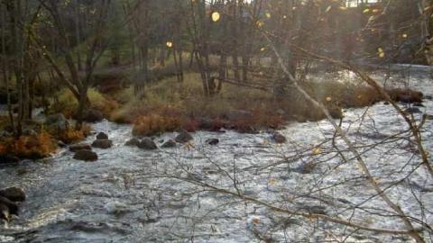 The actual falls - Coopers-Falls-Ghost-Town83.jpg