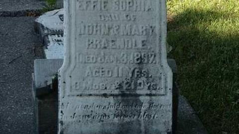 Photo from St.John's