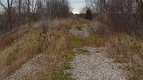 Photo from November 2018