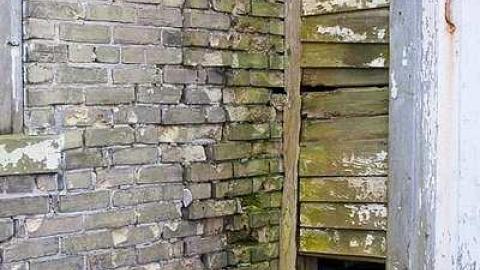 Neglected Farmhouse - 025.jpg