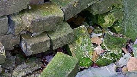 Neglected Farmhouse - 027.jpg