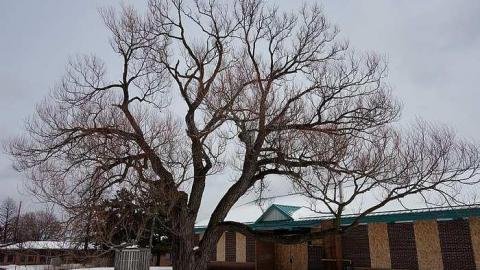 Photo from Immanuel '18