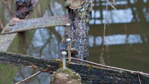 November 2018 - Bridge-to-Nowhere10.jpg