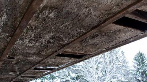 November 2018 - Hamilton-Road-house22.jpg