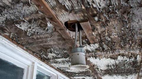 November 2018 - Hamilton-Road-house26.jpg