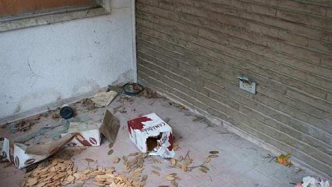 November 2018 - Hamilton-Road-house28.jpg