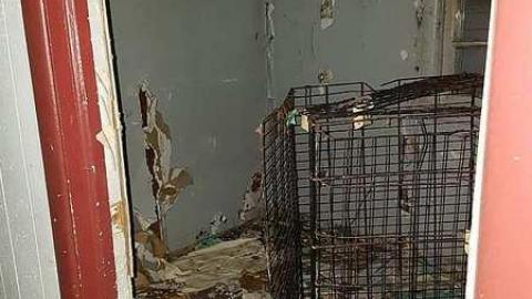 November 2018 - 11.jpg