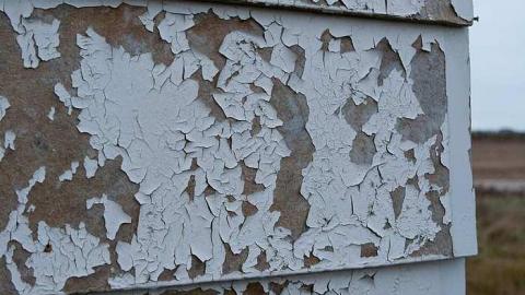 November 2018 - 14.jpg