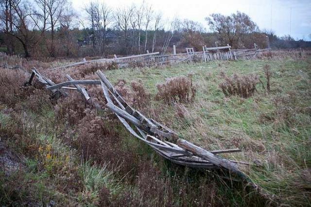 Lonely Looking House photo 4