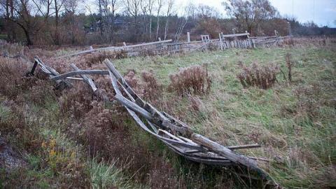 Photo from November 2018