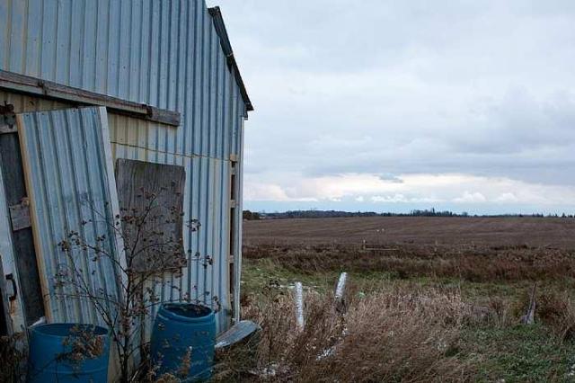 Lonely Looking House photo 5