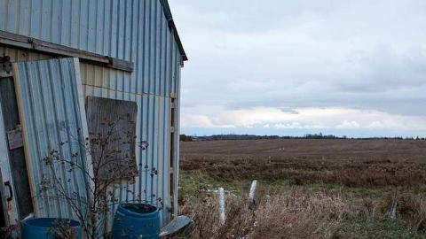 November 2018 - 18b.jpg