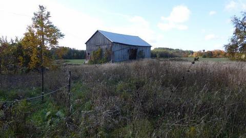 Clearview Farmhouse photo 2