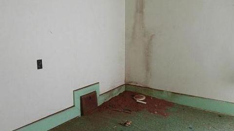 Clear View on a sunny day - P1140383.jpg