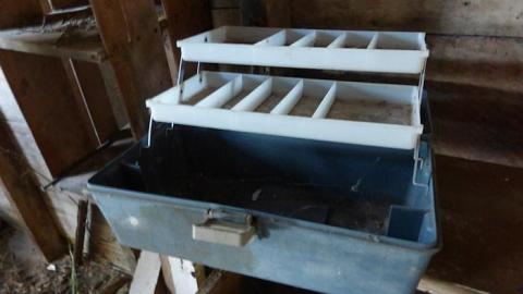 Clear View on a sunny day - P1140394.jpg