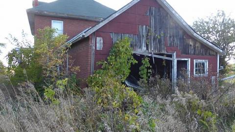 Clear View on a sunny day - P1140395.jpg