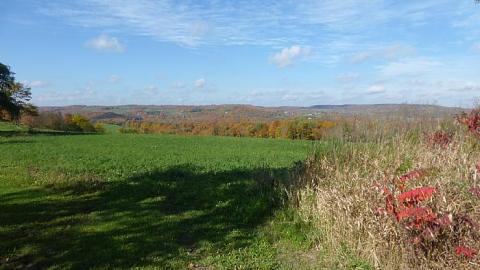 Clear View on a sunny day - P1140397.jpg