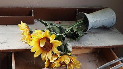 Not Sexy When Drunk '18 - DSC09415.jpg