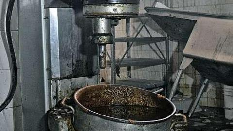 Jardin Tiki  - DSC_7384.jpg