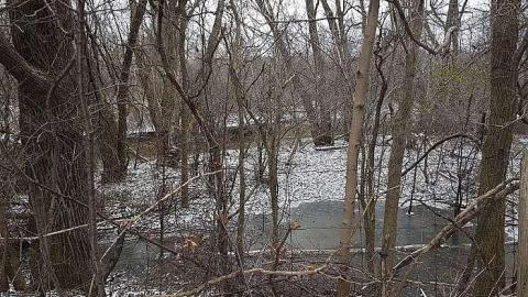 November 2018 - Nichol-Cemetery5.jpg