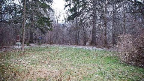 November 2018 - Nichol-Cemetery7.jpg