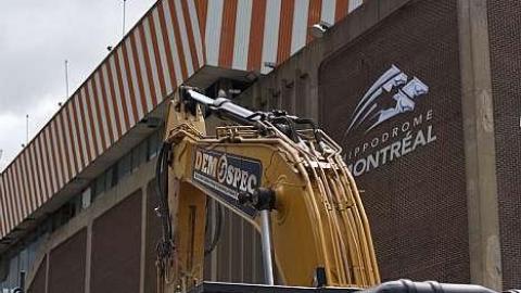 Blue Bonnets  - Bye-Bye-Baby-Blue52.jpg