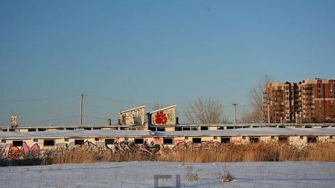 Blue Bonnets  - Bye-Bye-Baby-Blue103.jpg