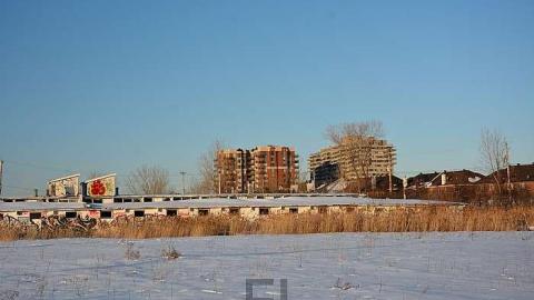 Blue Bonnets  - Bye-Bye-Baby-Blue70.jpg