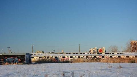 Blue Bonnets  - Bye-Bye-Baby-Blue104.jpg