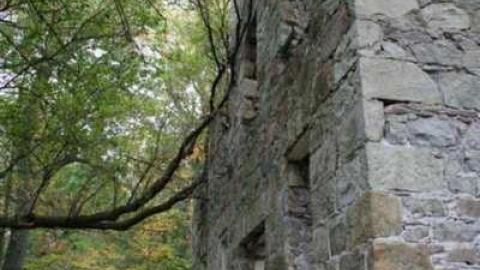 german mill - German-Woolen-Mill74.jpg