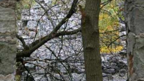 german mill - German-Woolen-Mill76.jpg