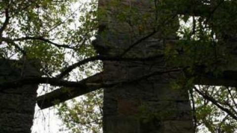 german mill - German-Woolen-Mill65.jpg