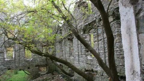 german mill - German-Woolen-Mill66.jpg