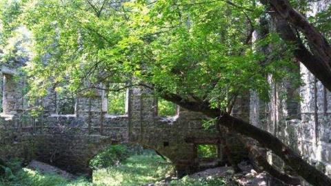 german mill - German-Woolen-Mill70.jpg