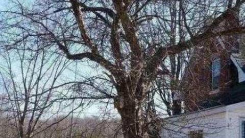 Midland sale - Bless-This-House34.jpg