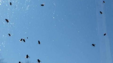 Midland sale - Bless-This-House57.jpg