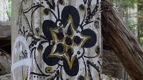 Antique Industrial '18 - Donald-(ghost-chemical-plant)162.jpg