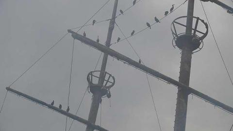 Arrrgh Billy - Le-Grande-Hermine-Ghost-Ship12.jpg