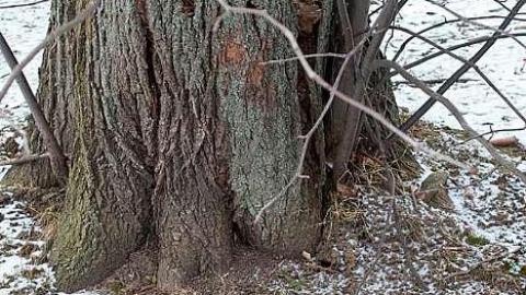 December 2018 - Salem--Smuck-Cemetery1.jpg