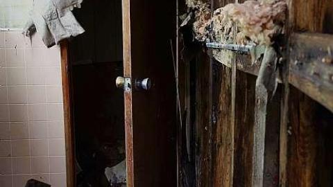 Dave's Funky BBQ Ranch '18 - DSC05366.jpg