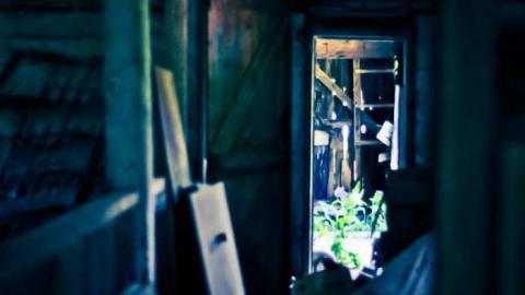 Summer 2011 photos - Another-Leslie-Street-Farm5.jpg