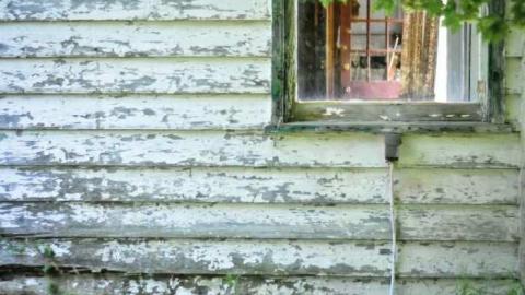 Summer 2011 photos - Another-Leslie-Street-Farm7.jpg