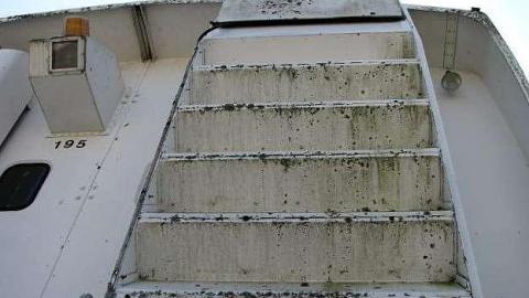 For Whom the 'Bel' Tolls  - 20.jpg