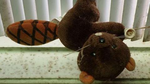 First Act '18 - DSC06744.jpg