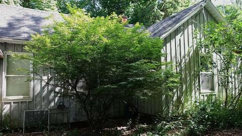 First Act '18 - DSC06774.jpg