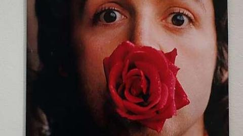 Farewell Spidergeist '18 - DSC06866.jpg