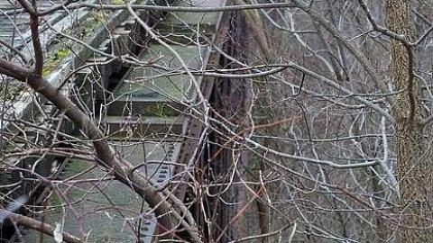 December 2018 - Railway-Bridge-over-the-Thames3.jpg