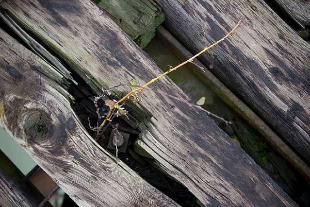 Railway Bridge over the Thames photo 2