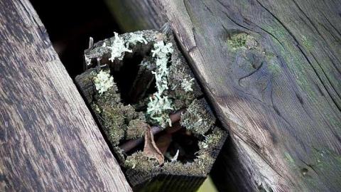 December 2018 - Railway-Bridge-over-the-Thames13.jpg