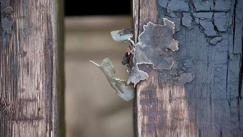 December 2018 - Railway-Bridge-over-the-Thames14.jpg